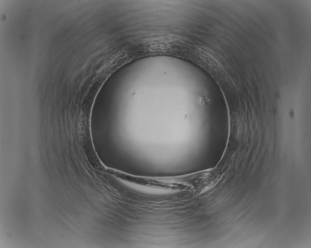 X0000057090228200509301559