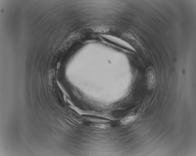 X0000057090229200509301559