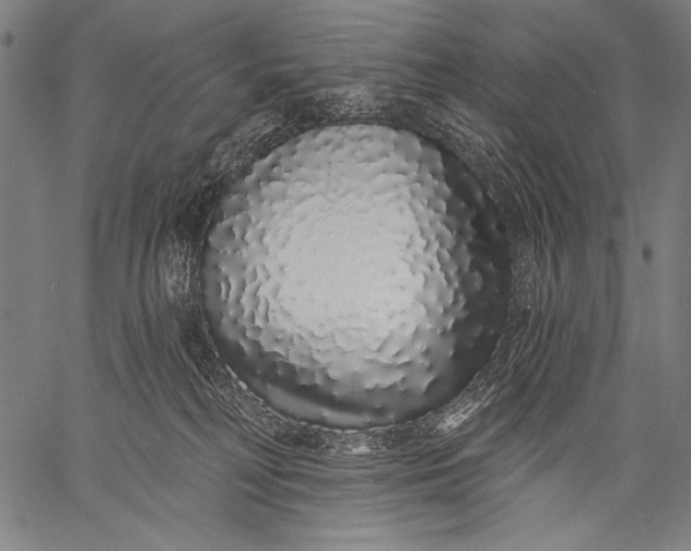 X0000057090230200509301559