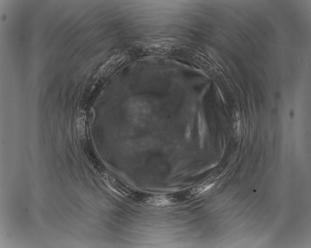 X0000057090231200509301559