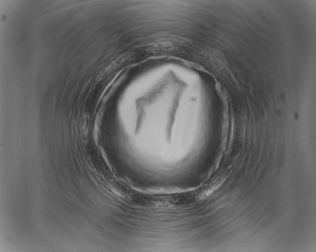 X0000057090232200509301559