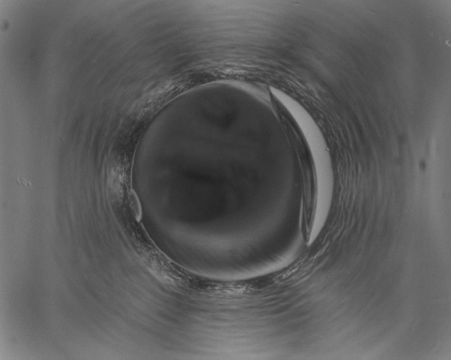 X0000057090235200509301559