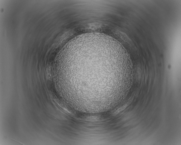 X0000057090236200509301559