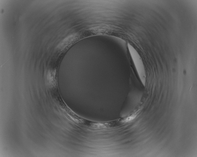 X0000057090239200509301559