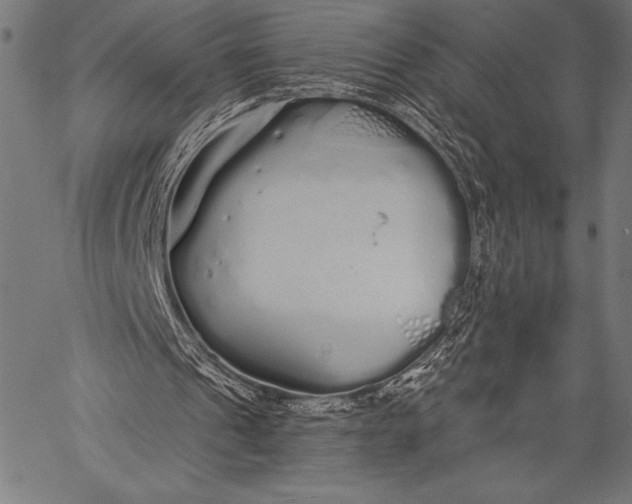 X0000057090241200509301558