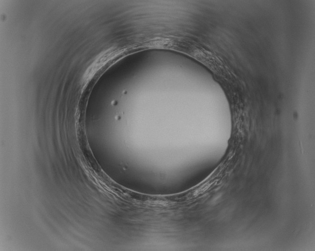 X0000057090242200509301558