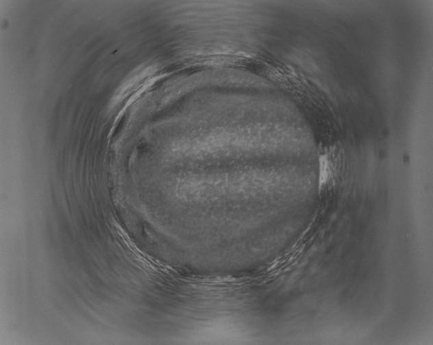 X0000057090243200509301558