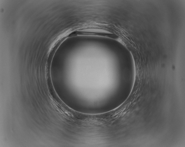 X0000057090244200509301558