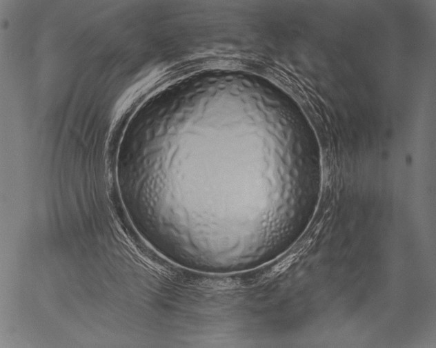 X0000057090245200509301558