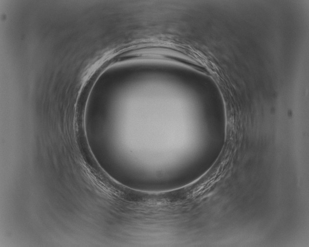 X0000057090248200509301558