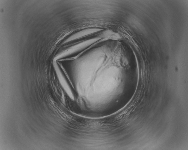 X0000057090249200509301558