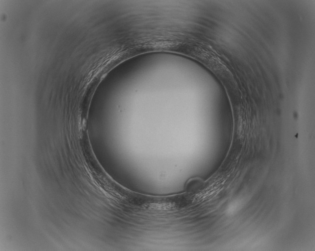 X0000057090251200509301558