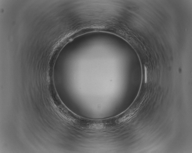 X0000057090252200509301558