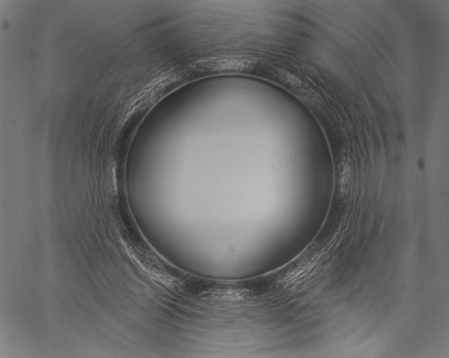 X0000057090254200509301558