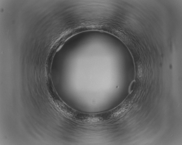 X0000057090256200509301558