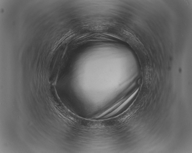 X0000057090258200509301558