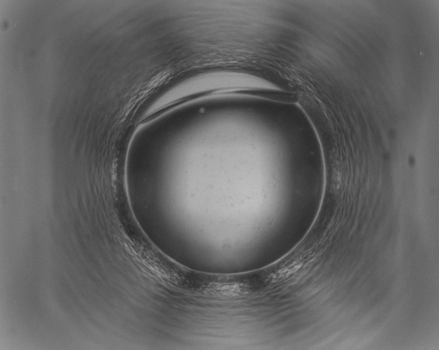 X0000057090260200509301558