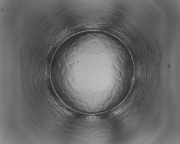 X0000057090261200509301558