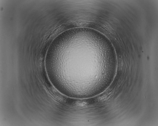 X0000057090263200509301558