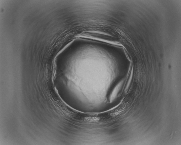 X0000057090266200509301558