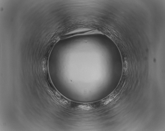 X0000057090272200509301558