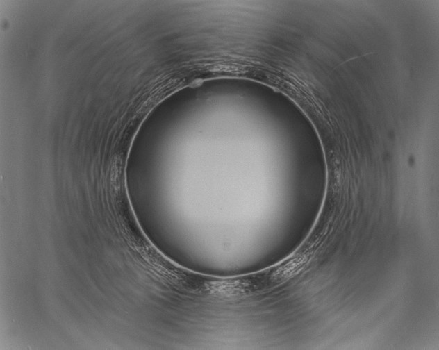 X0000057090273200509301558