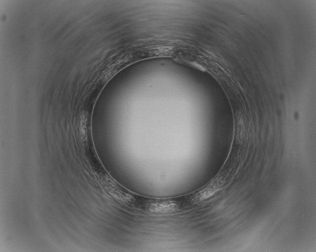 X0000057090274200509301559