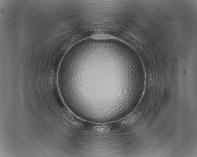 X0000057090275200509301559