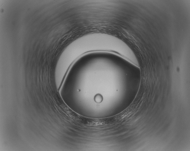 X0000057090276200509301559