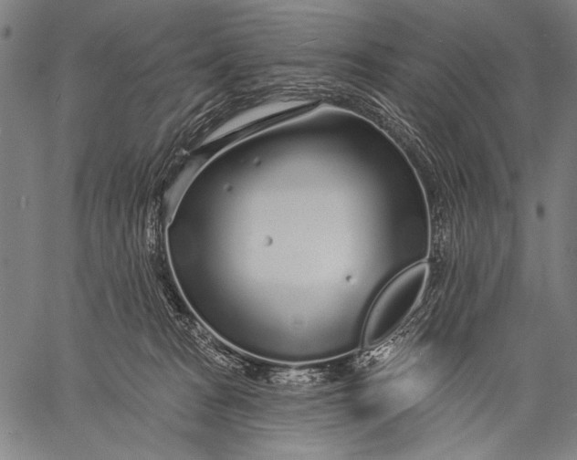 X0000057090277200509301559