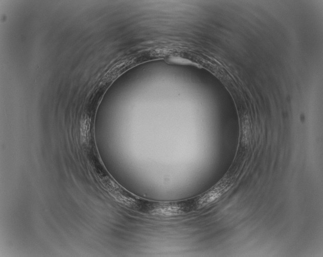 X0000057090278200509301559