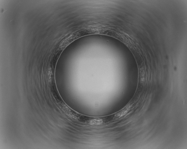 X0000057090279200509301559