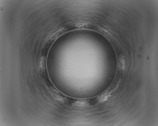 X0000057090280200509301559