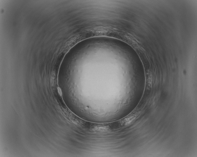 X0000057090283200509301559