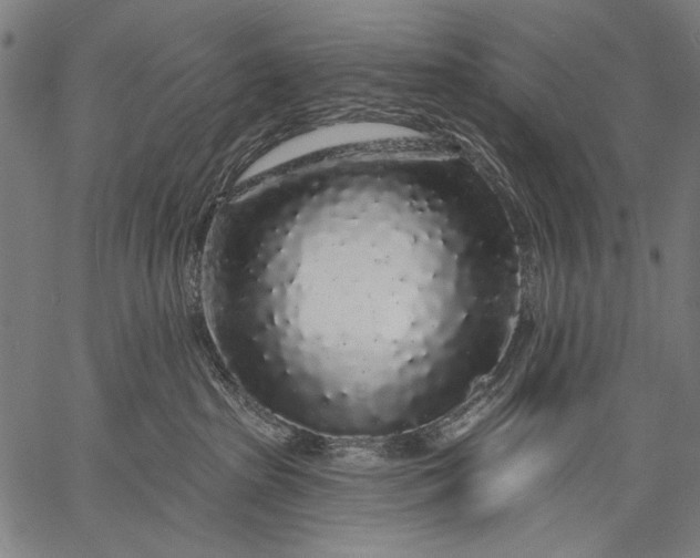 X0000057090285200509301559