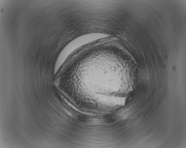 X0000057090286200509301559