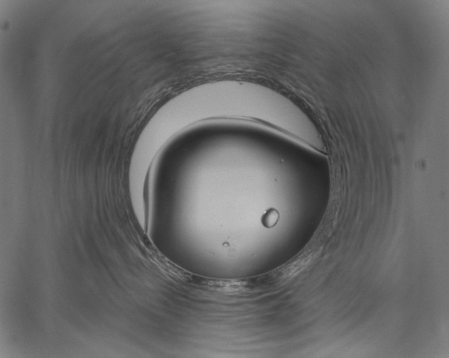 X0000057090288200509301559