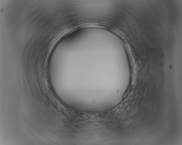 X0000057090289200509301558