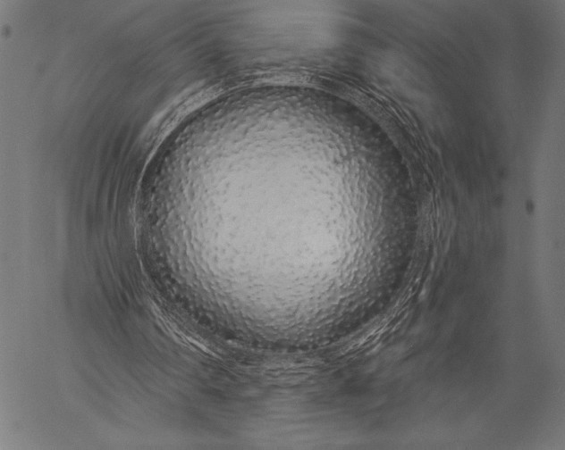 X0000057090290200509301558