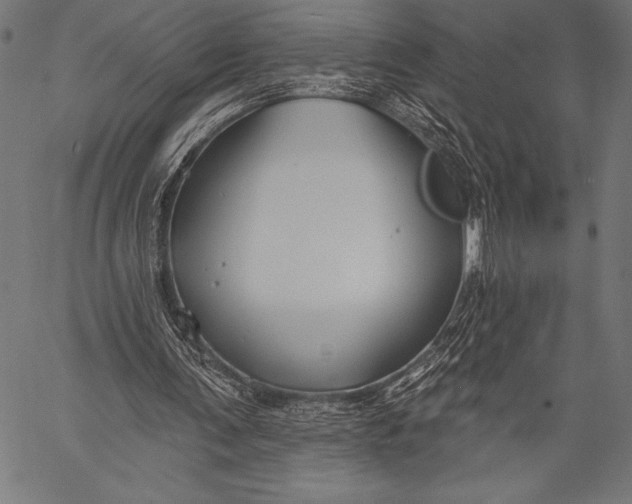 X0000057090291200509301558