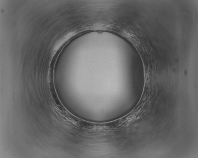 X0000057090292200509301558