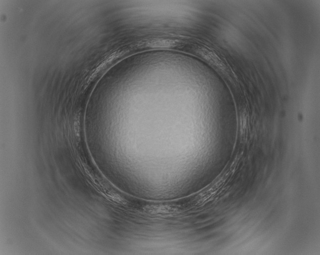 X0000057090297200509301558