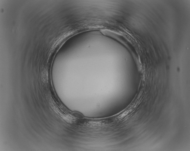 X0000057090298200509301558