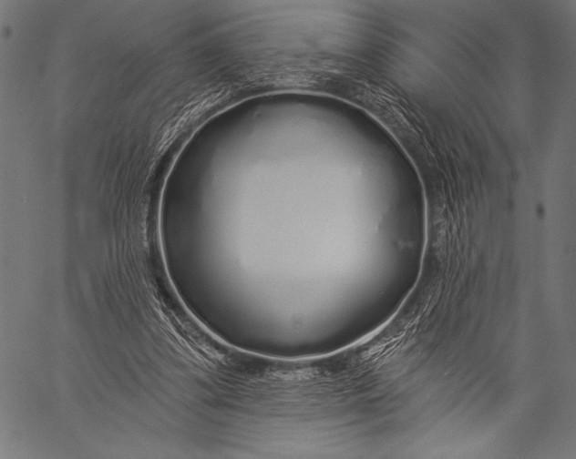 X0000057090299200509301558