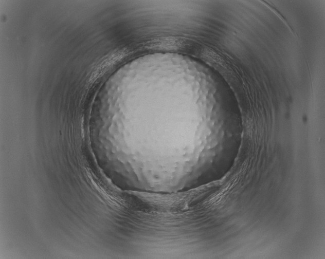 X0000057090302200509301558