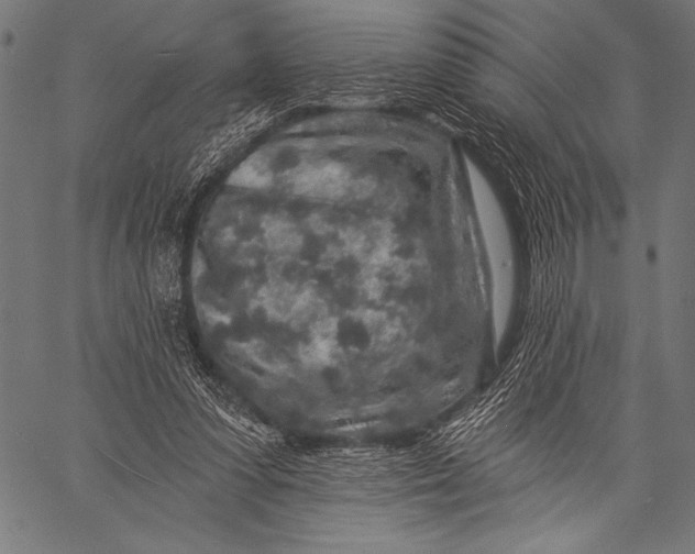 X0000057090303200509301558