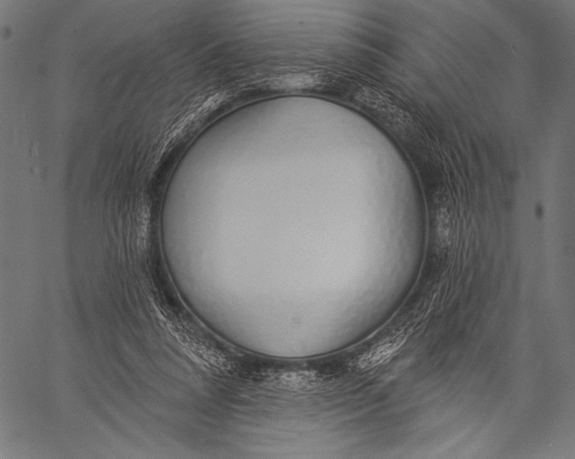 X0000057090304200509301558