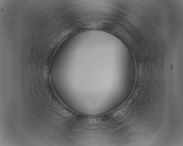 X0000057090305200509301558