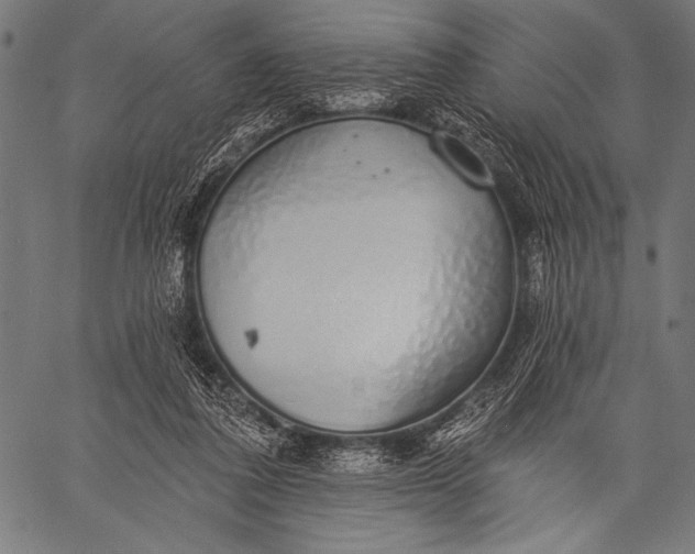 X0000057090308200509301558