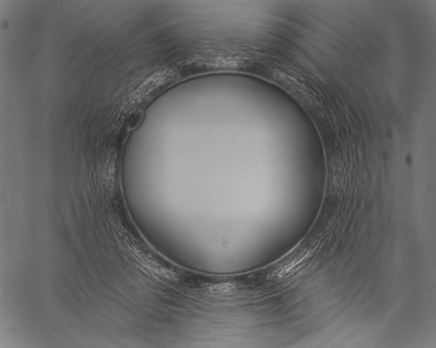 X0000057090309200509301558